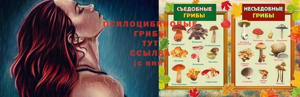 PSILOCYBIN Алексеевка