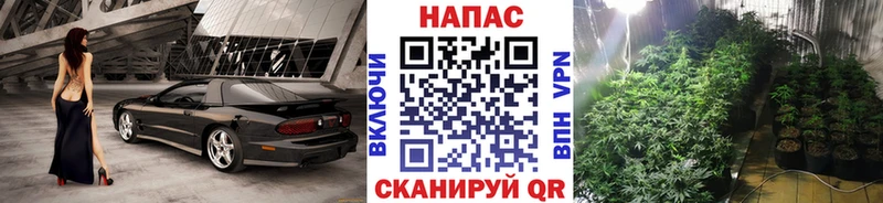 Каннабис марихуана  Талица 